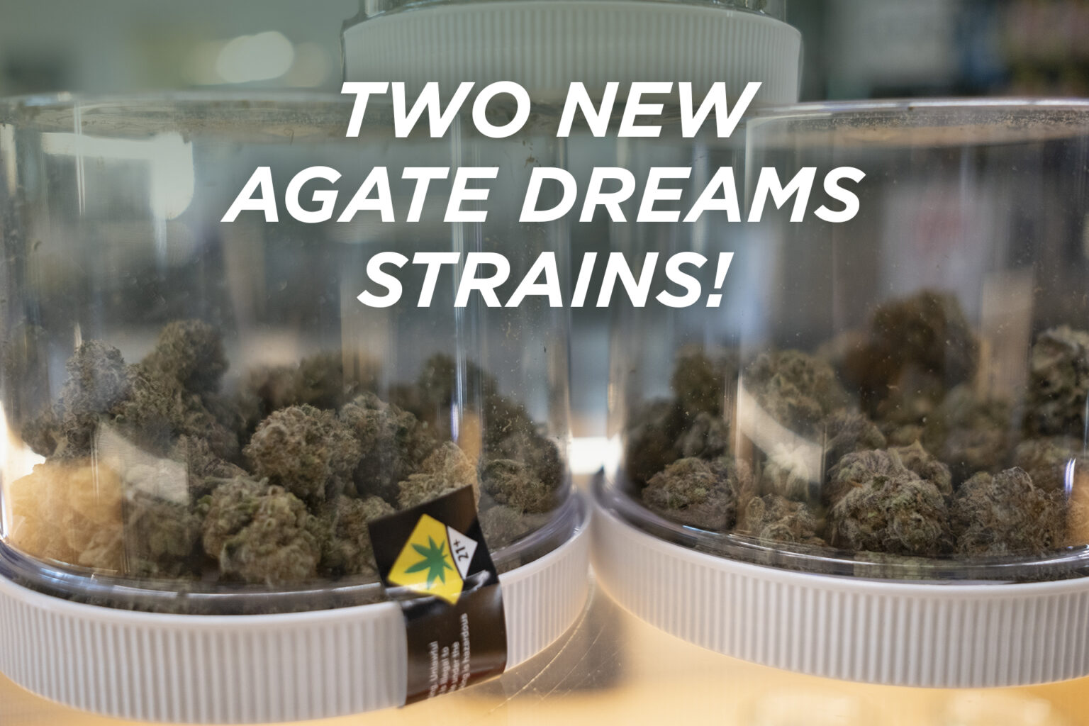 Two New Strains From Agate Dreams Now Available Agate Dreams