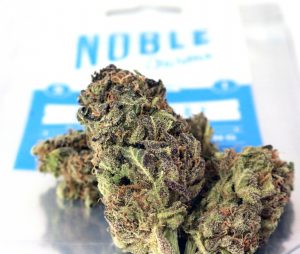 Noble Blueberry