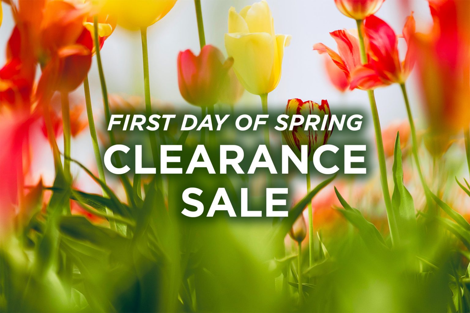 First Day of Spring Clearance Sale! Agate Dreams
