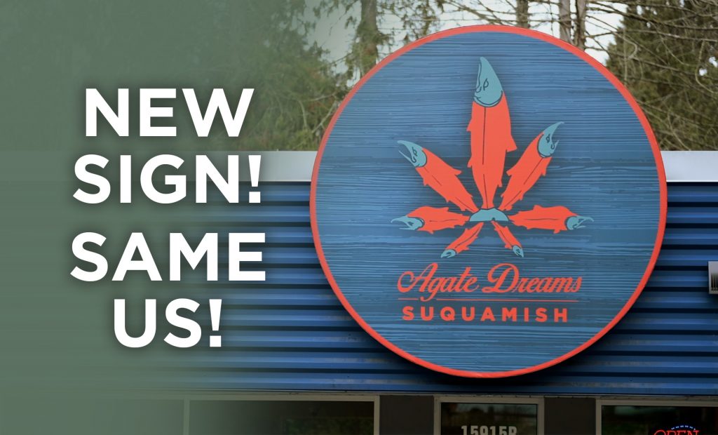 We’re Revamping Our Store Exterior! - Agate Dreams