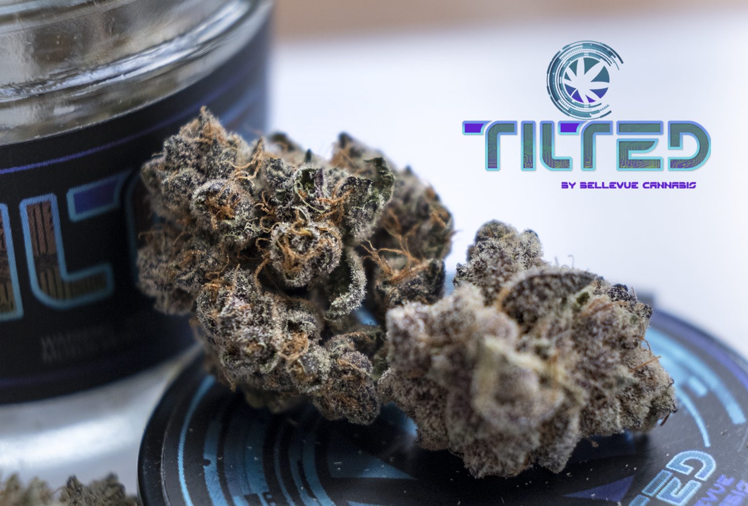 Strain Feature: Bahama Mama from Tilted! - Agate Dreams